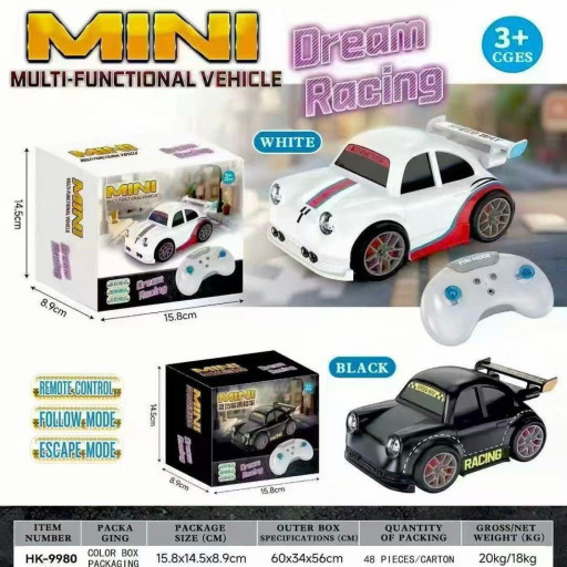 MINI DREAM RACING CAR
